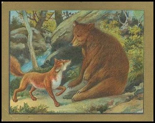 2 The Bear And The Fox